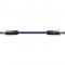 CAT6 PVC-001FT